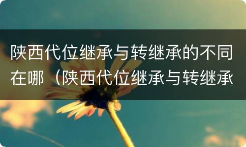 陕西代位继承与转继承的不同在哪（陕西代位继承与转继承的不同在哪儿）
