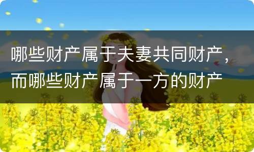 哪些财产属于夫妻共同财产，而哪些财产属于一方的财产