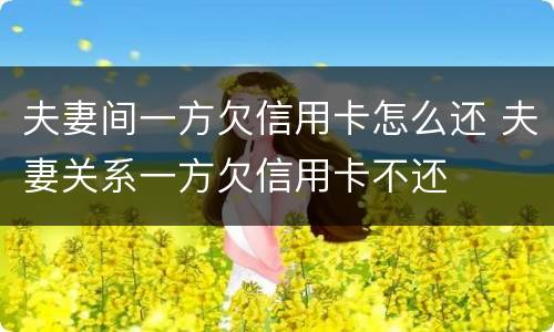 夫妻间一方欠信用卡怎么还 夫妻关系一方欠信用卡不还