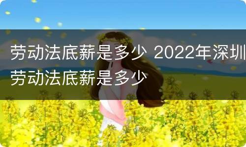 劳动法底薪是多少 2022年深圳劳动法底薪是多少