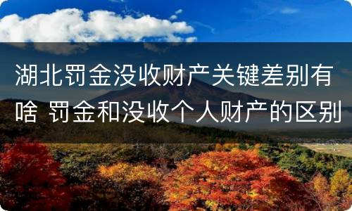 湖北罚金没收财产关键差别有啥 罚金和没收个人财产的区别
