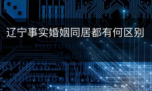 辽宁事实婚姻同居都有何区别