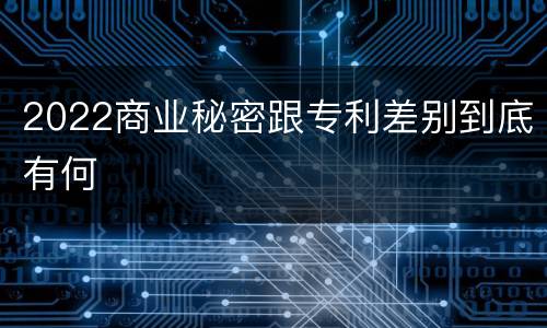 2022商业秘密跟专利差别到底有何