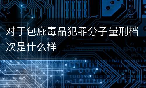 对于包庇毒品犯罪分子量刑档次是什么样