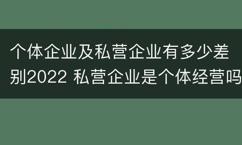 个体企业及私营企业有多少差别2022 私营企业是个体经营吗