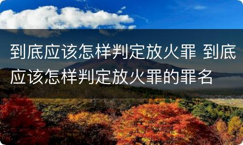 到底应该怎样判定放火罪 到底应该怎样判定放火罪的罪名