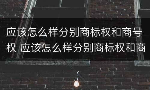 应该怎么样分别商标权和商号权 应该怎么样分别商标权和商号权呢
