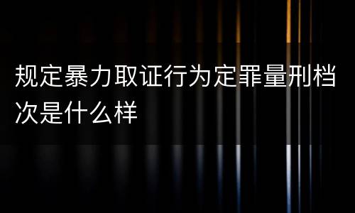 规定暴力取证行为定罪量刑档次是什么样