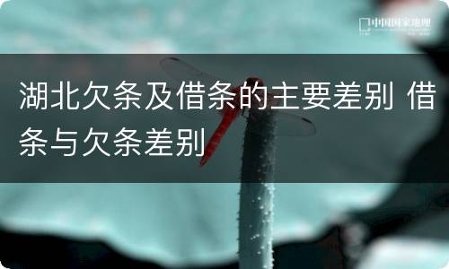 湖北欠条及借条的主要差别 借条与欠条差别