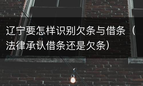 辽宁要怎样识别欠条与借条（法律承认借条还是欠条）