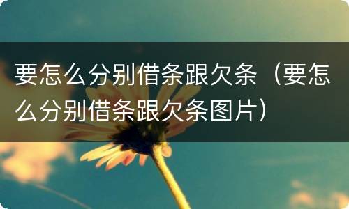 要怎么分别借条跟欠条（要怎么分别借条跟欠条图片）