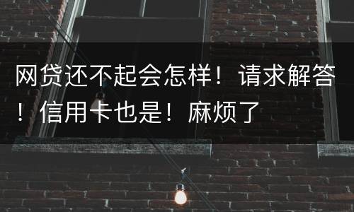网贷还不起会怎样！请求解答！信用卡也是！麻烦了
