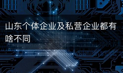 山东个体企业及私营企业都有啥不同