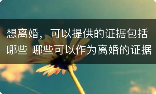 想离婚，可以提供的证据包括哪些 哪些可以作为离婚的证据
