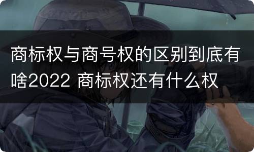 商标权与商号权的区别到底有啥2022 商标权还有什么权