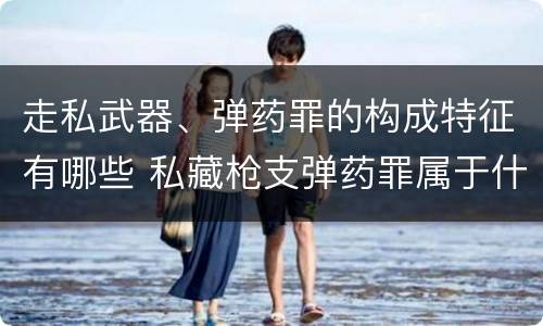 走私武器、弹药罪的构成特征有哪些 私藏枪支弹药罪属于什么类