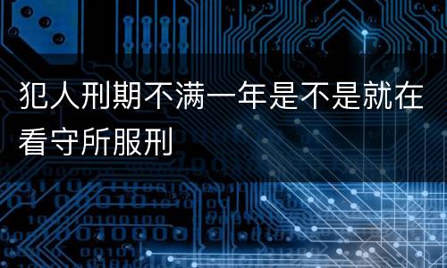 犯人刑期不满一年是不是就在看守所服刑