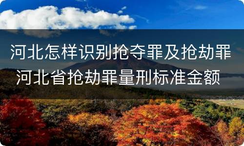 河北怎样识别抢夺罪及抢劫罪 河北省抢劫罪量刑标准金额