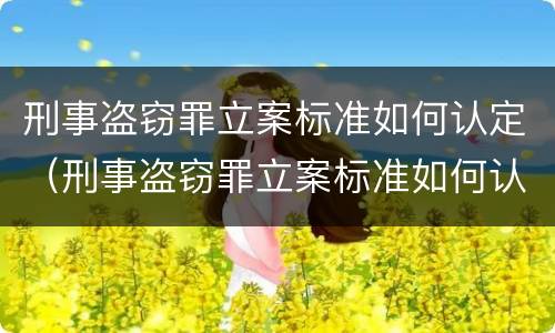 刑事盗窃罪立案标准如何认定（刑事盗窃罪立案标准如何认定的）