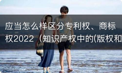 应当怎么样区分专利权、商标权2022（知识产权中的(版权和商标权与标准）