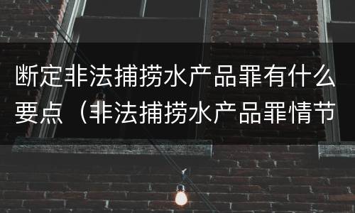 断定非法捕捞水产品罪有什么要点（非法捕捞水产品罪情节严重的认定）