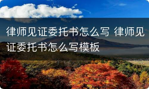 律师见证委托书怎么写 律师见证委托书怎么写模板