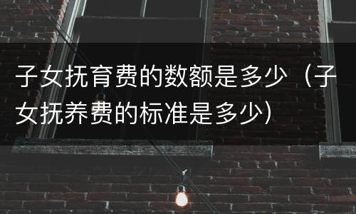 子女抚育费的数额是多少（子女抚养费的标准是多少）