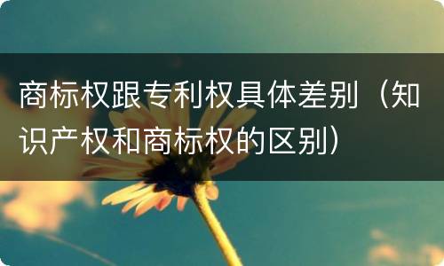 商标权跟专利权具体差别（知识产权和商标权的区别）