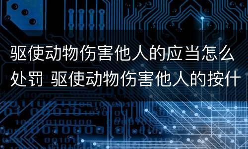 驱使动物伤害他人的应当怎么处罚 驱使动物伤害他人的按什么行为处罚