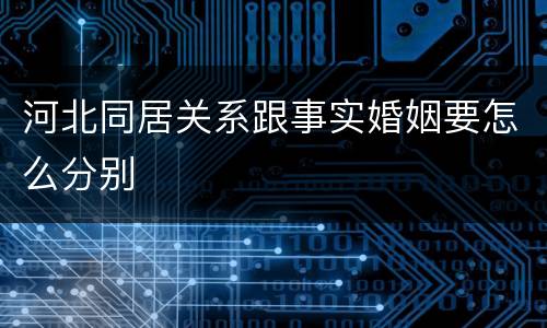 河北同居关系跟事实婚姻要怎么分别
