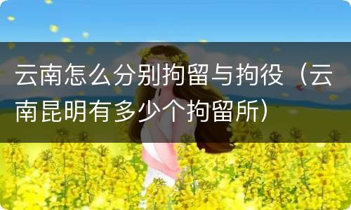 云南怎么分别拘留与拘役（云南昆明有多少个拘留所）