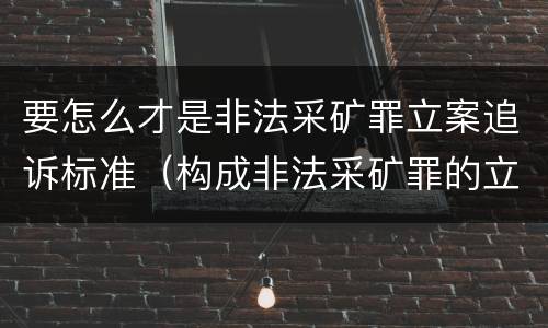 要怎么才是非法采矿罪立案追诉标准（构成非法采矿罪的立案标准）
