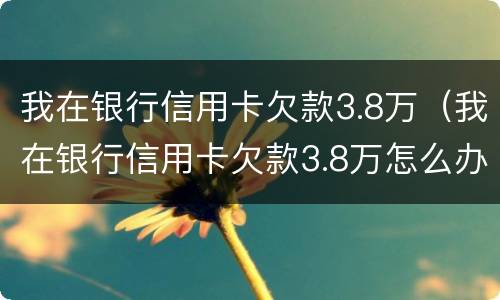 我在银行信用卡欠款3.8万（我在银行信用卡欠款3.8万怎么办）