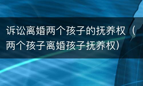 诉讼离婚两个孩子的抚养权（两个孩子离婚孩子抚养权）