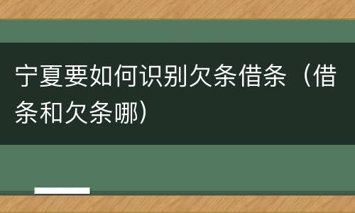 宁夏要如何识别欠条借条（借条和欠条哪）