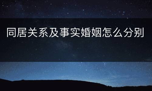 同居关系及事实婚姻怎么分别