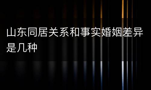 山东同居关系和事实婚姻差异是几种