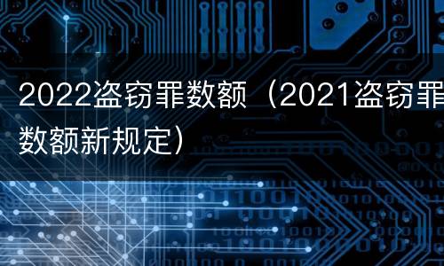 2022盗窃罪数额（2021盗窃罪数额新规定）