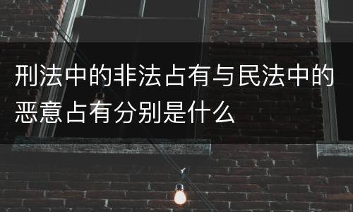 刑法中的非法占有与民法中的恶意占有分别是什么