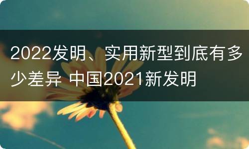 2022发明、实用新型到底有多少差异 中国2021新发明