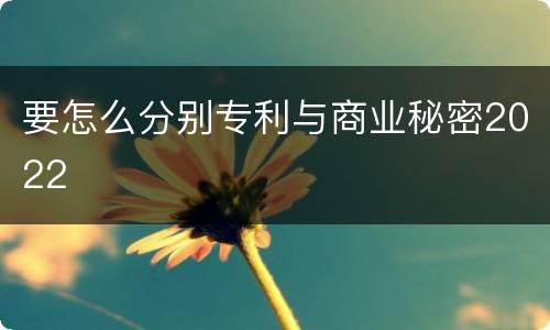 要怎么分别专利与商业秘密2022