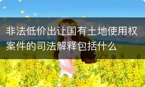 非法低价出让国有土地使用权案件的司法解释包括什么