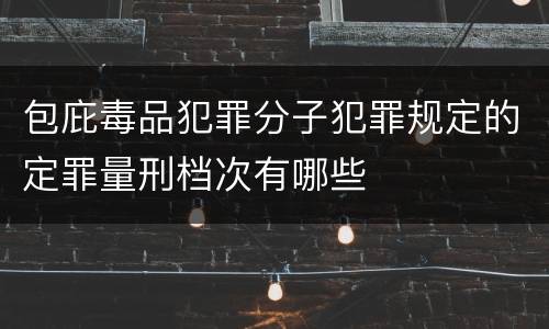 包庇毒品犯罪分子犯罪规定的定罪量刑档次有哪些