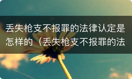 丢失枪支不报罪的法律认定是怎样的（丢失枪支不报罪的法律认定是怎样的标准）