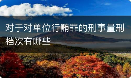 对于对单位行贿罪的刑事量刑档次有哪些