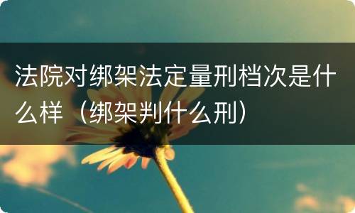 法院对绑架法定量刑档次是什么样（绑架判什么刑）