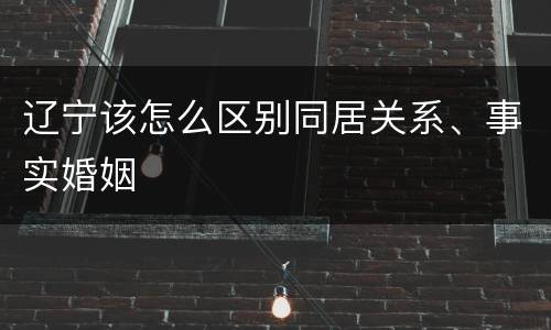 辽宁该怎么区别同居关系、事实婚姻