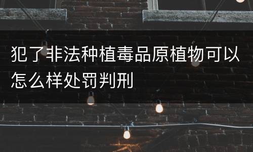 犯了非法种植毒品原植物可以怎么样处罚判刑