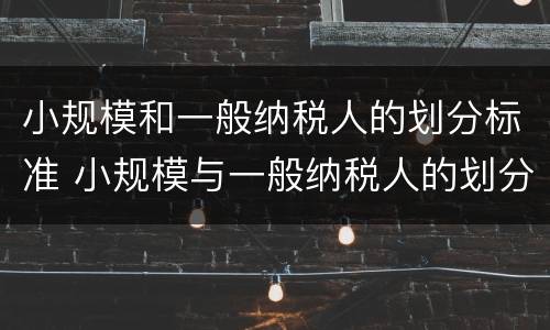 小规模和一般纳税人的划分标准 小规模与一般纳税人的划分标准