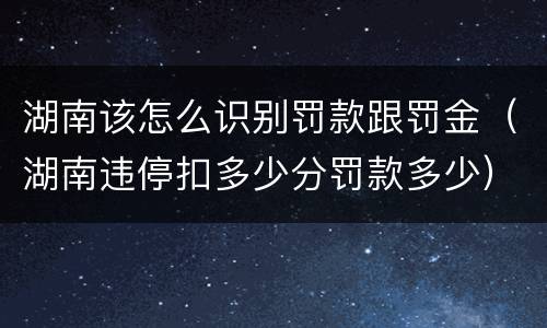 湖南该怎么识别罚款跟罚金（湖南违停扣多少分罚款多少）